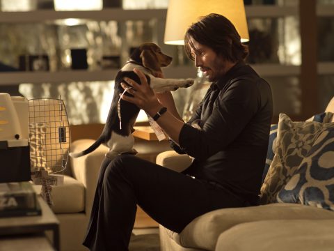 รีวิว John Wick (2014)