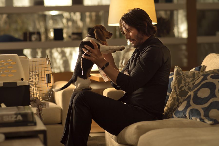 รีวิว John Wick (2014)
